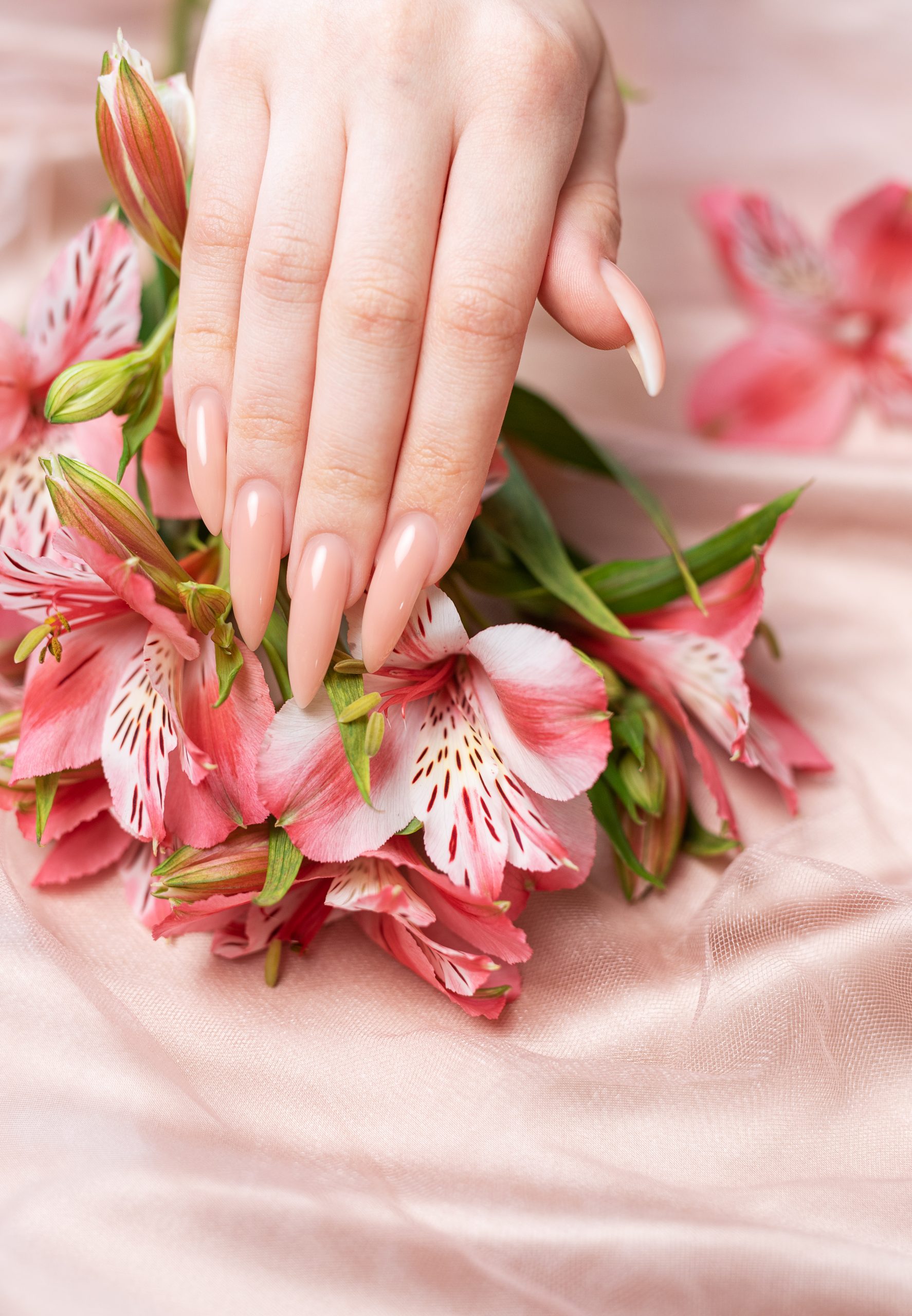 Tulip Nails