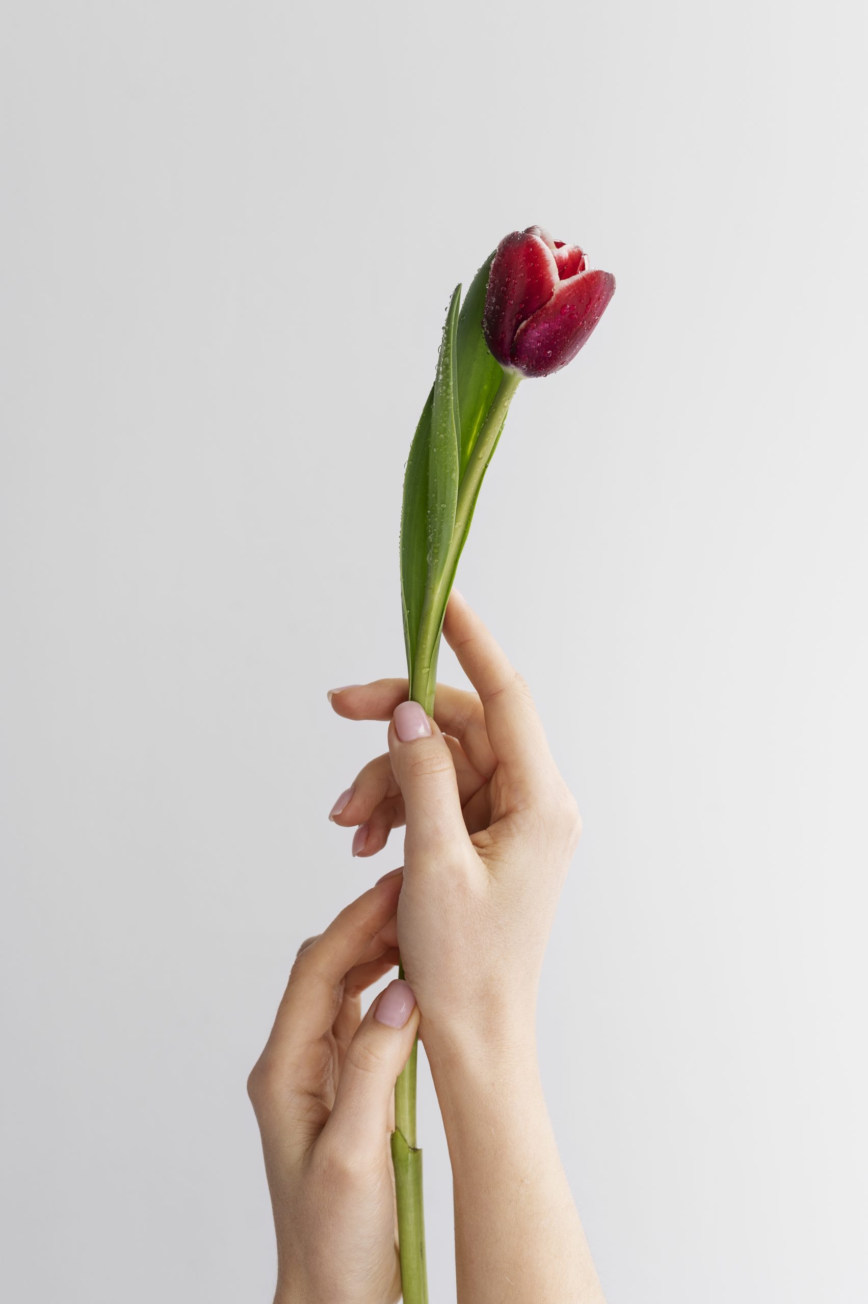 Tulip Nails